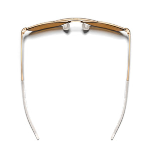 Falcon Titanium (Polarized)